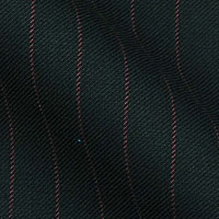 Luxury Collezione Super 140's Cashmere Wool By Vito Tesare in 1/2 Inch in Bold Stripe