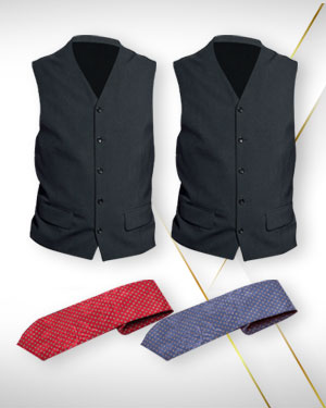 Two Dress evening waistcoats and 2 Neckties for men From Premium Collection
